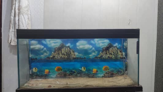 Bumper Offer 4 Ft Aquarium For Sale