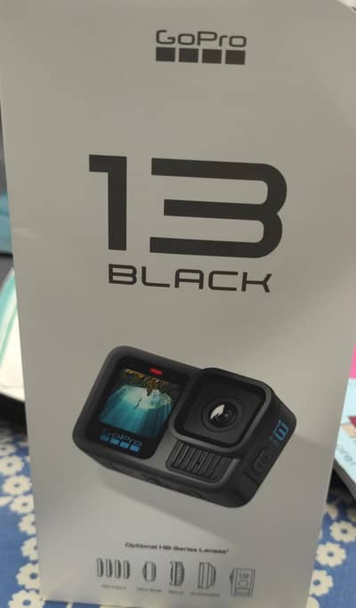 Go pro 13