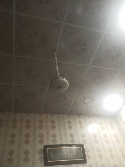 ceiling Pak Fan