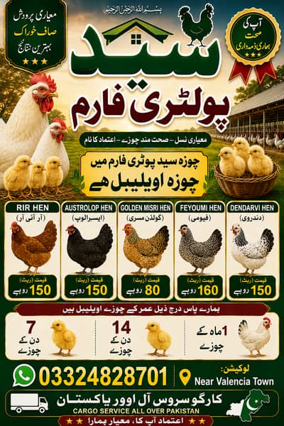Rir ,Austrolop ,Dindarwi ,Egyption Feyoumi , Golden Misry Chicks