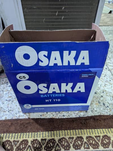 Osaka Battery HT110 70AH With 30Amp Charger