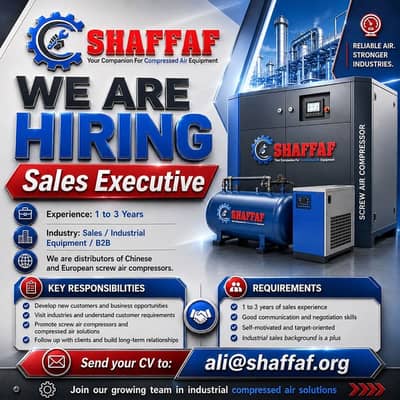 Sales Executive
