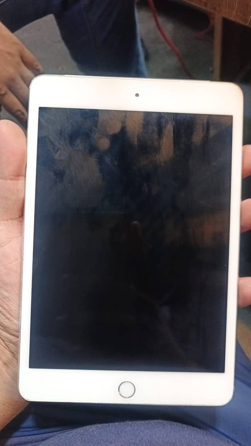 iPad mini 4 1