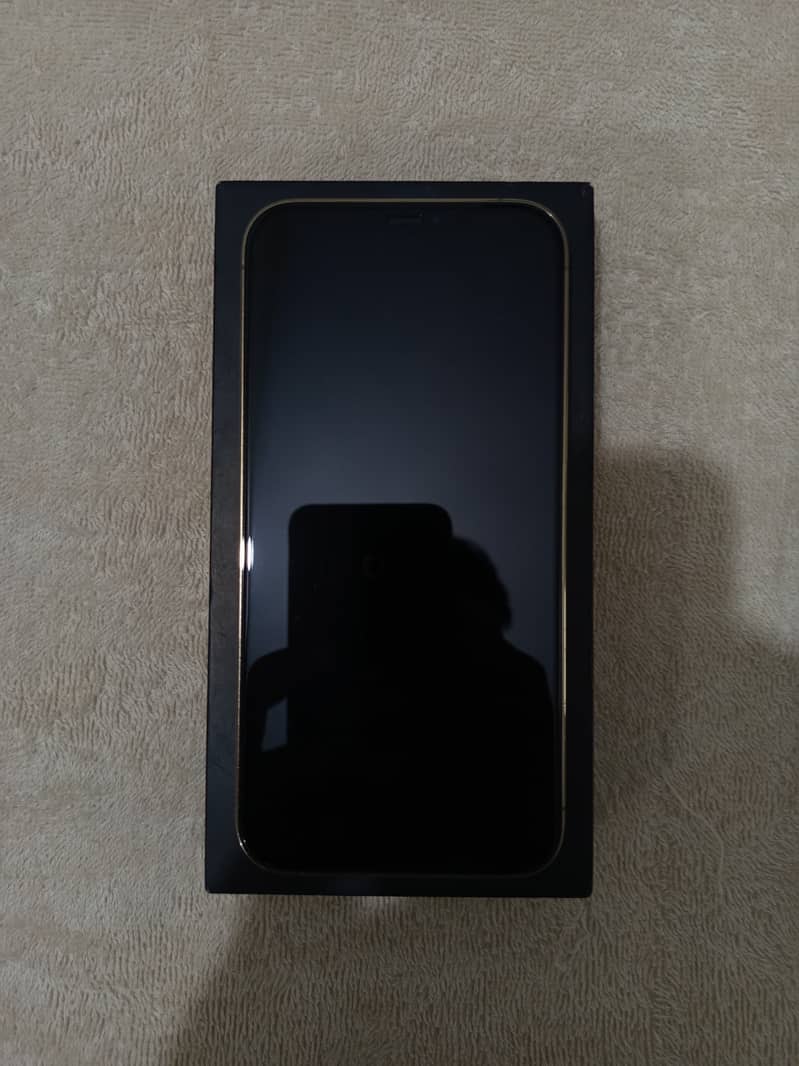 IPHONE 12 PRO MAX (128GB) 3