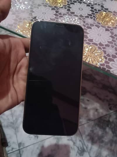 12 pro max non pta