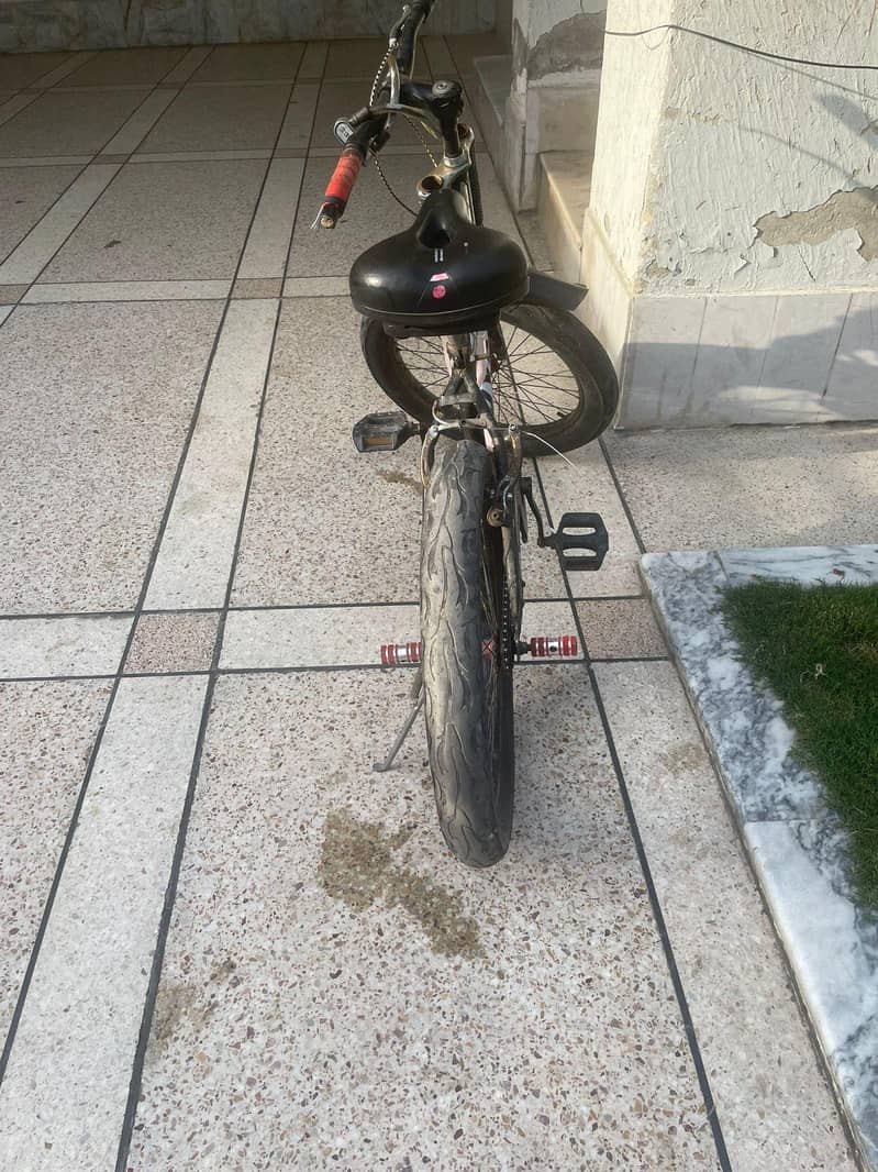 phoenix cycle 2