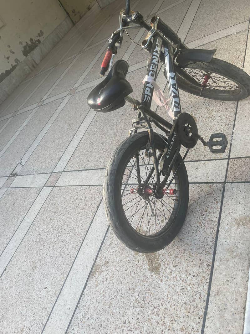 phoenix cycle 3