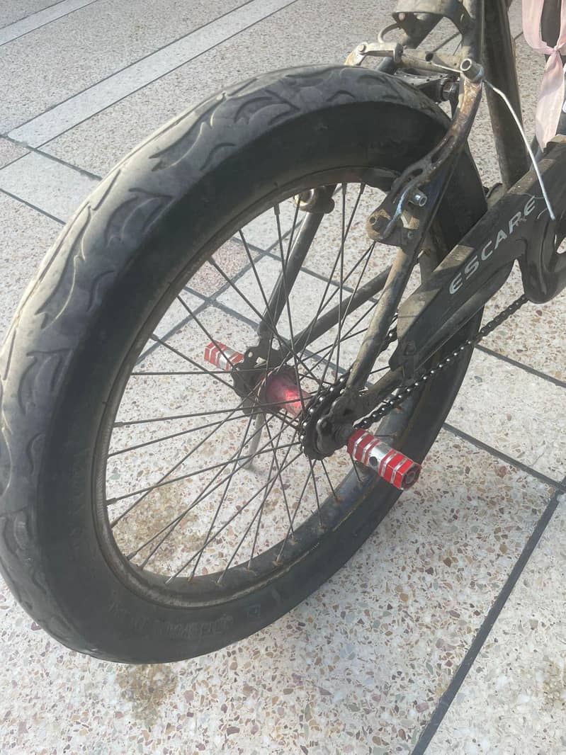 phoenix cycle 4