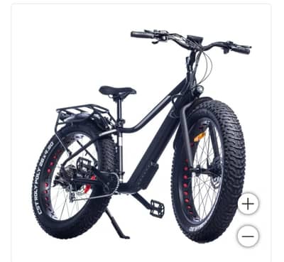 EBZE Electric bicycle adult size