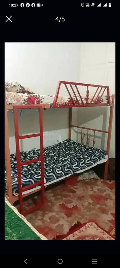 bangbed