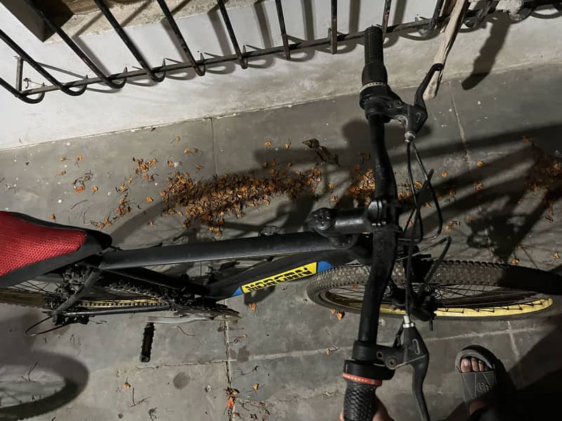 Cycles 2