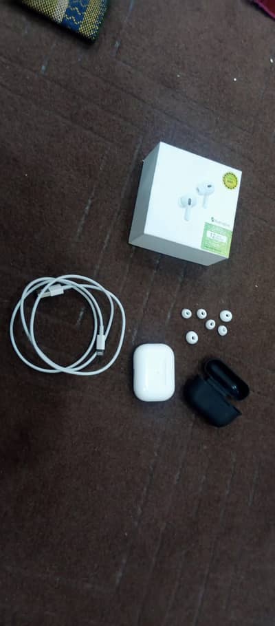 Earphones