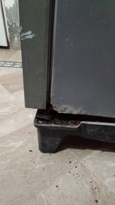 tow door hair frige hy glass door wali