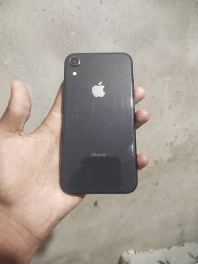 iphone XR penal chang ha