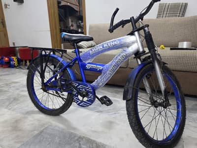20 inch Lion King Cycle