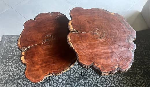 Tree table