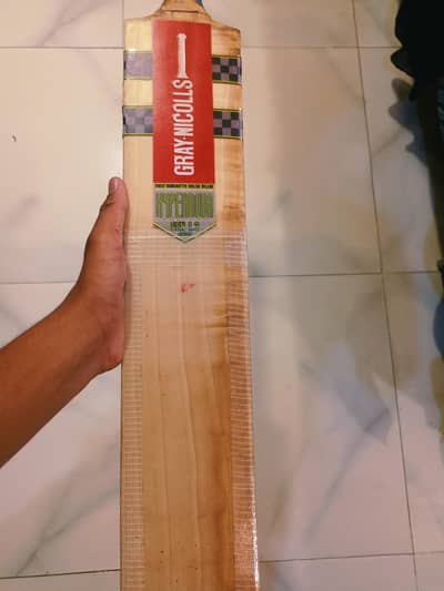 cricket bat