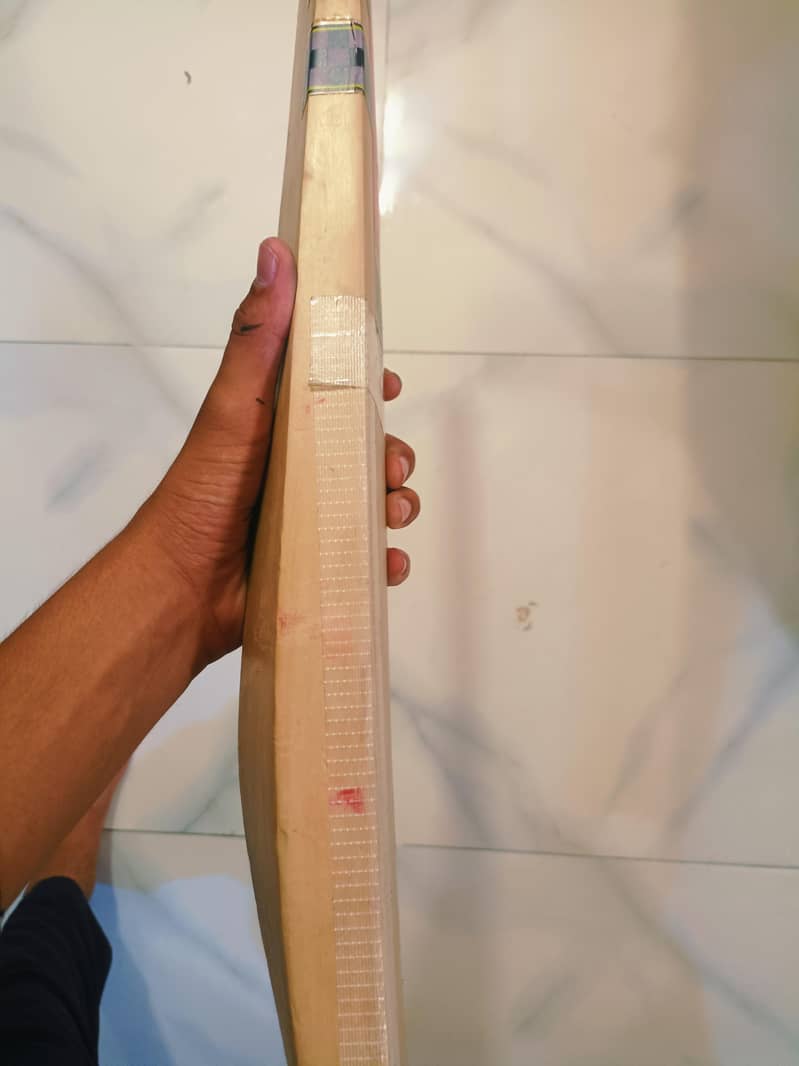 cricket bat 1
