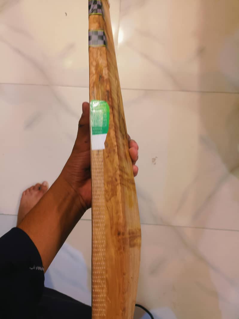 cricket bat 2