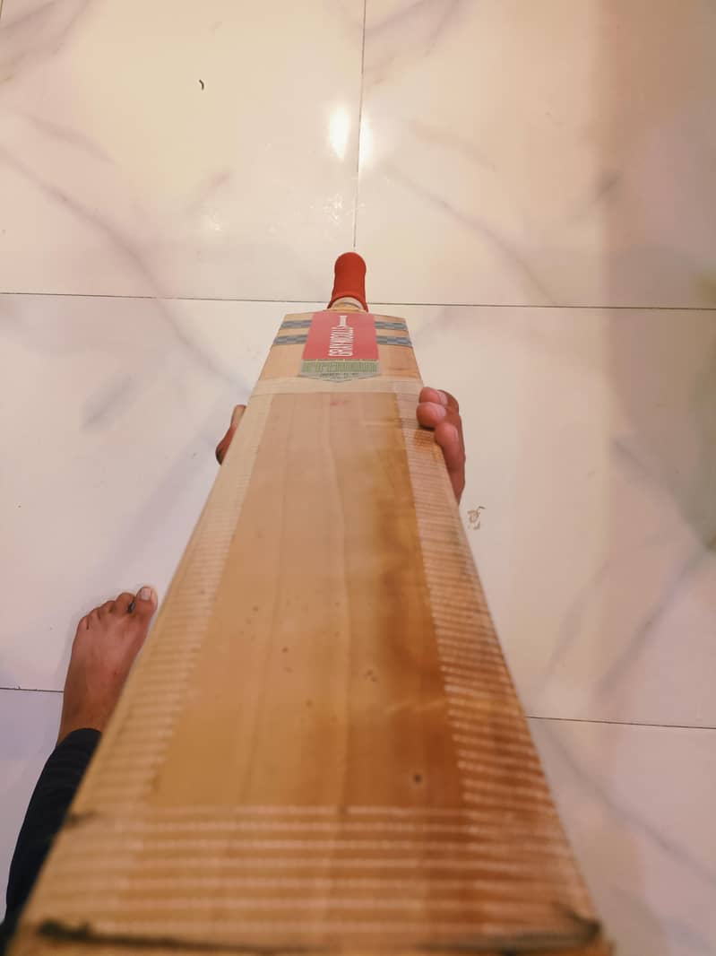 cricket bat 3