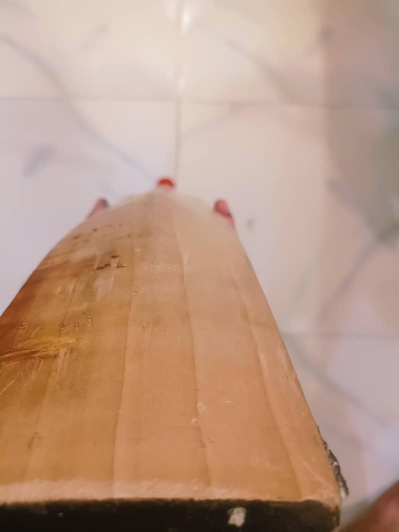 cricket bat 4
