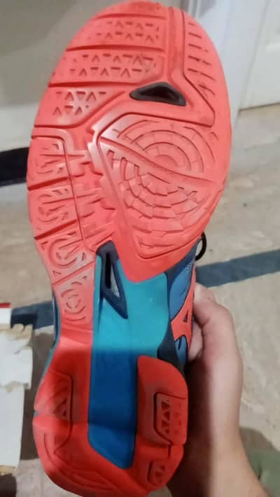 squash shoes for sale