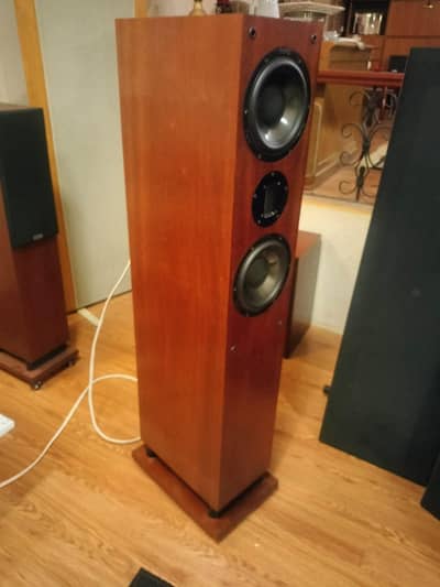 Proac D40R Tower speakers