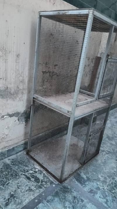 cage birds