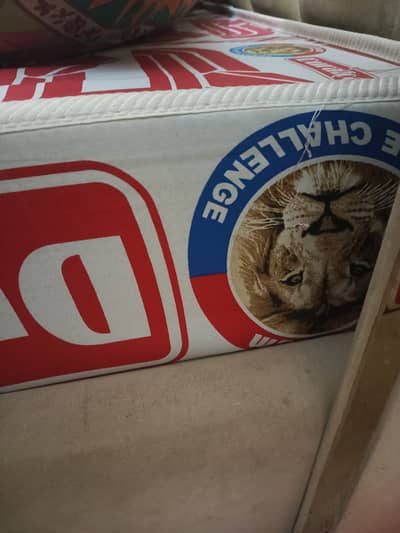 Extra Firm Queen Mattress