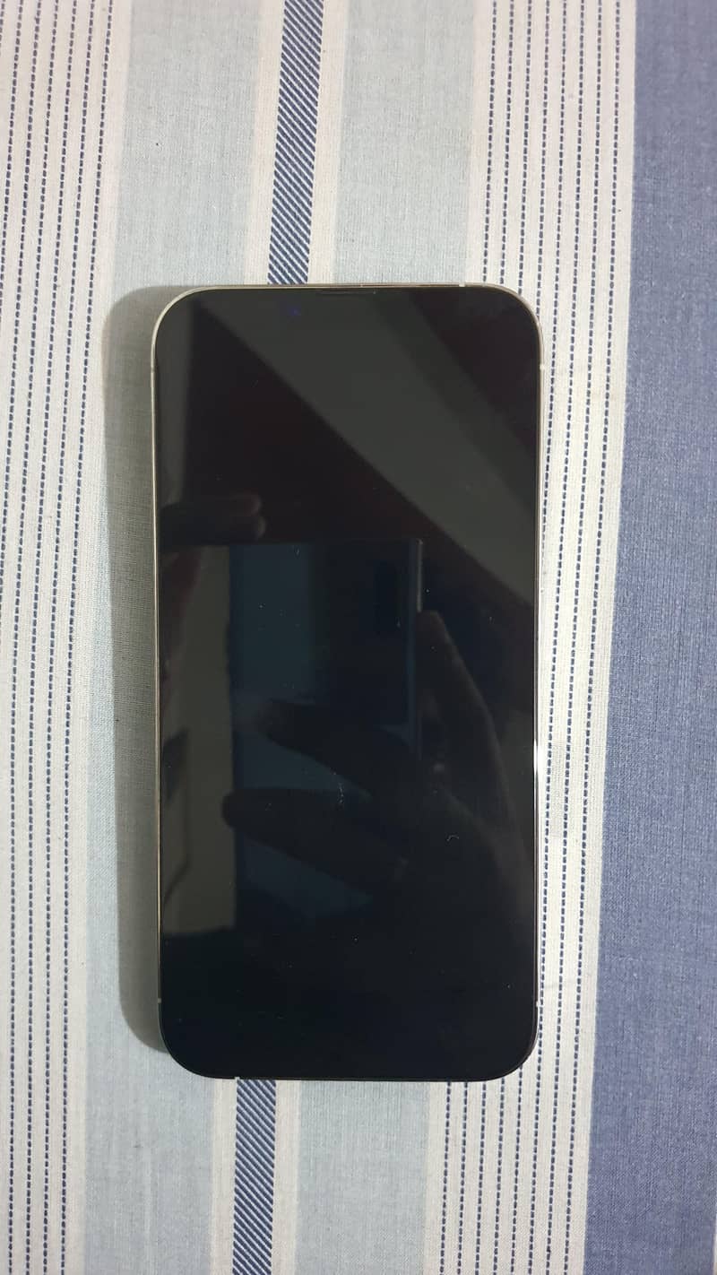iphone 13 pro max 1