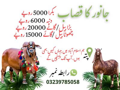 اسلام آباد میں جانوروں کے قصاب کی خدمات - عید الاضحیٰ