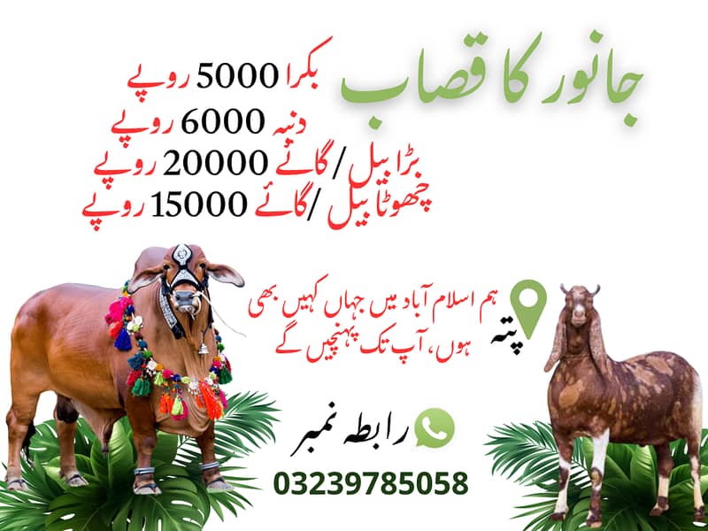 اسلام آباد میں جانوروں کے قصاب کی خدمات - عید الاضحیٰ 0