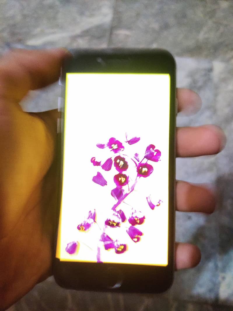 iphone 6 1