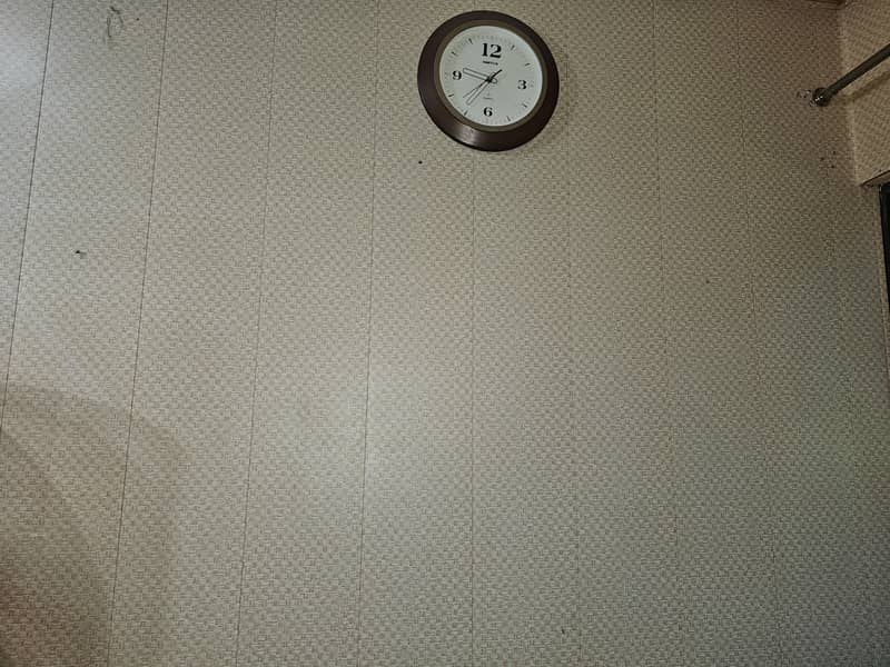 wall pelling 1