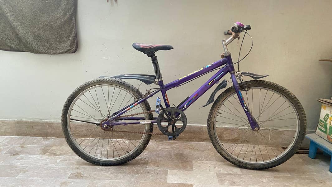bicycle 1