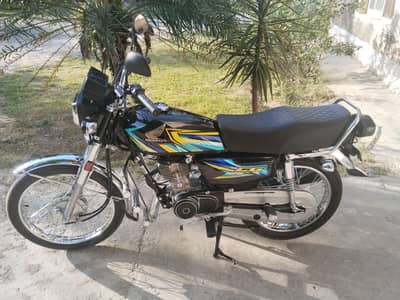 bikes