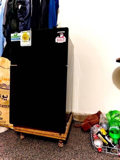 Double Door Mini Fridge