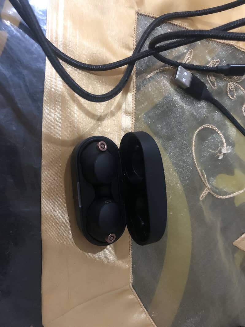 Ear buds 1