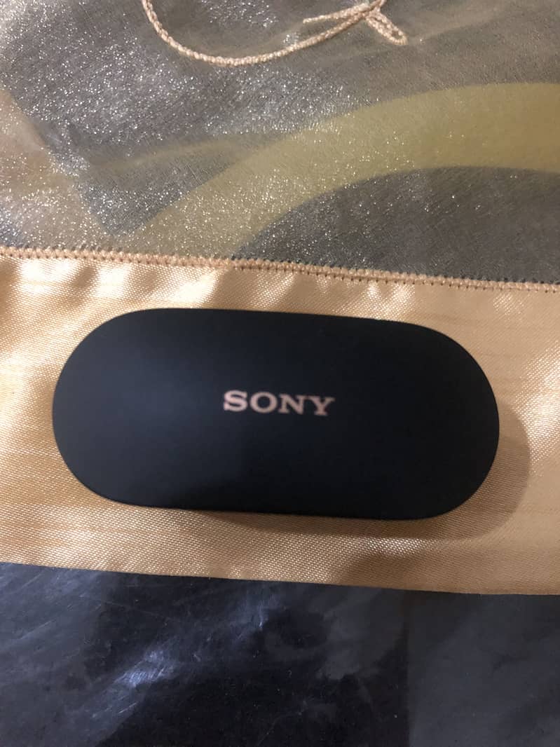 Ear buds 3