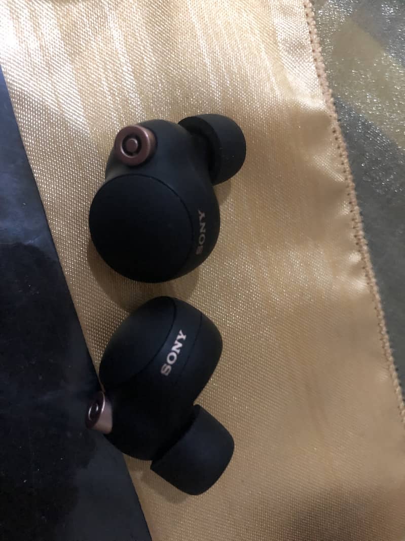 Ear buds 5