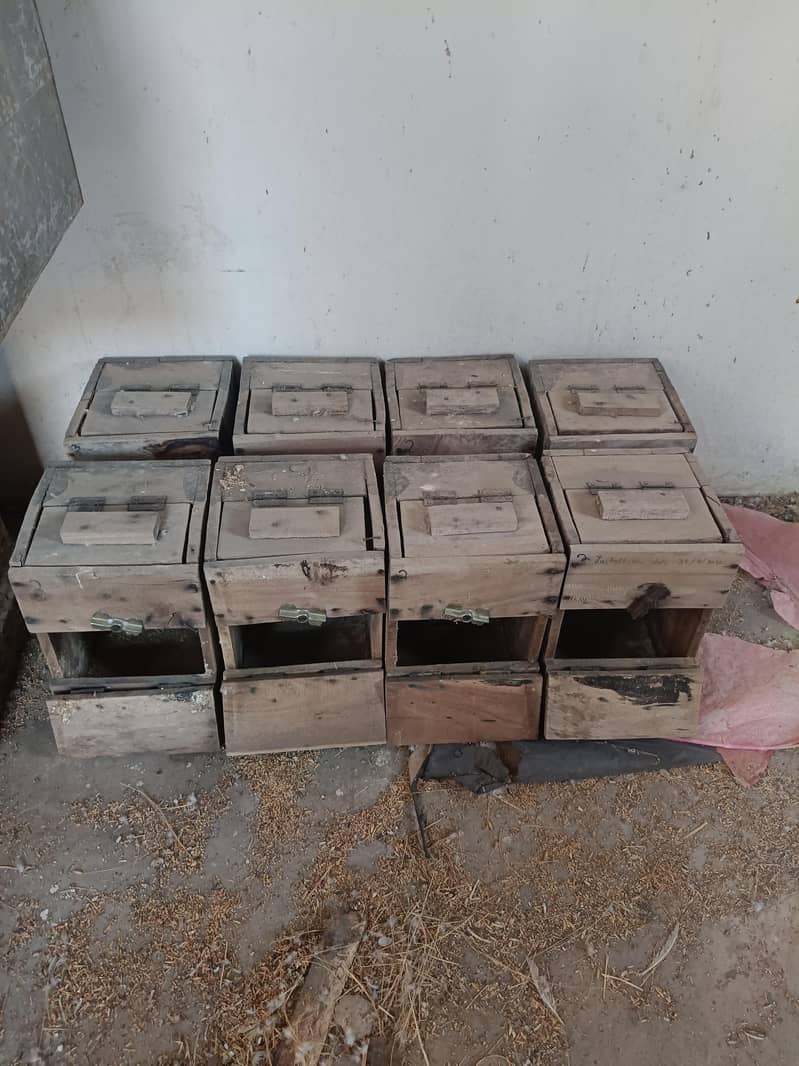 Bird Breading Boxes 0