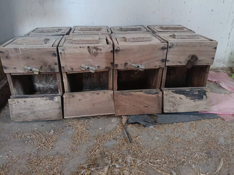 Bird Breading Boxes 1
