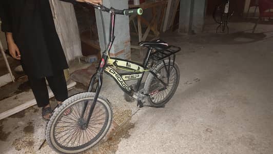 phoenix cycle medium size