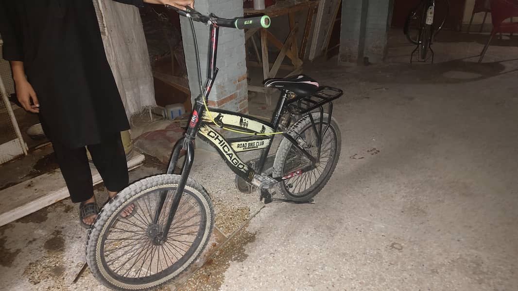phoenix cycle medium size 0