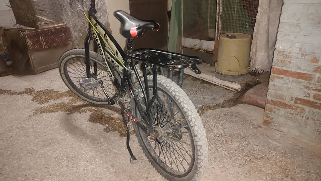 phoenix cycle medium size 1
