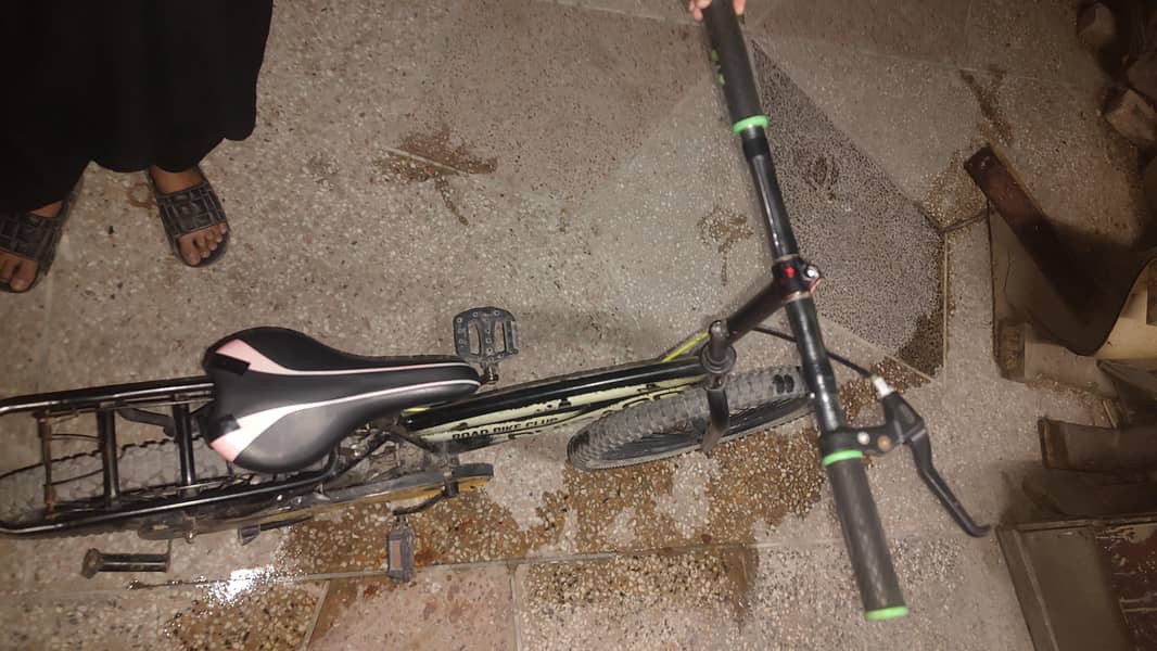 phoenix cycle medium size 3