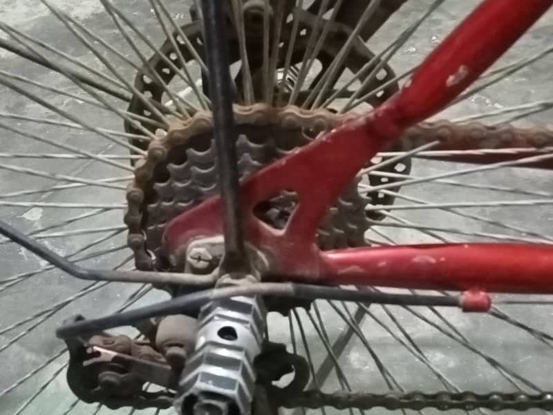 super Orient cycle 4