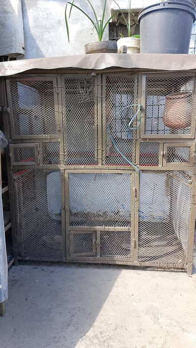 pet cage and hen cage