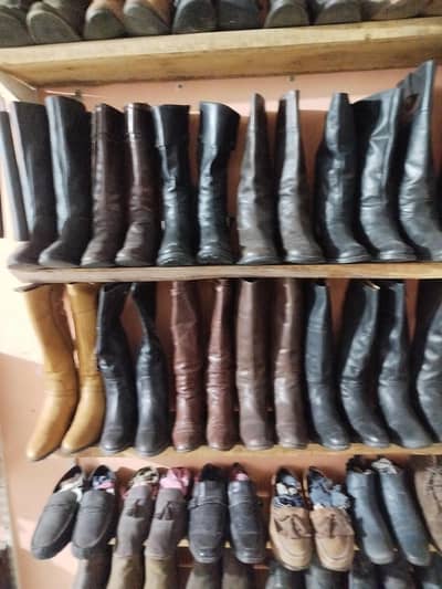 horse riding boots for sell