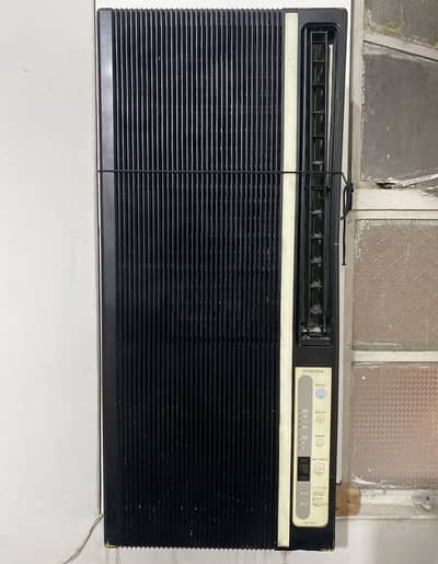 Corona 110 portable AC